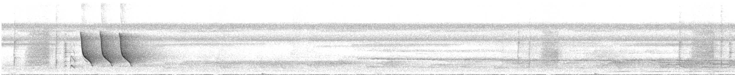 Віялохвістка плямистовола - ML42747441