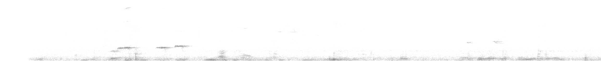Boz Kuşaklı Yerçavuşu - ML427492241
