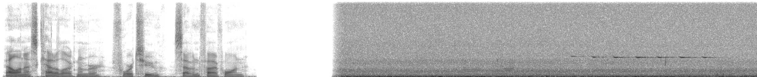 lejsčík žlutý - ML42751