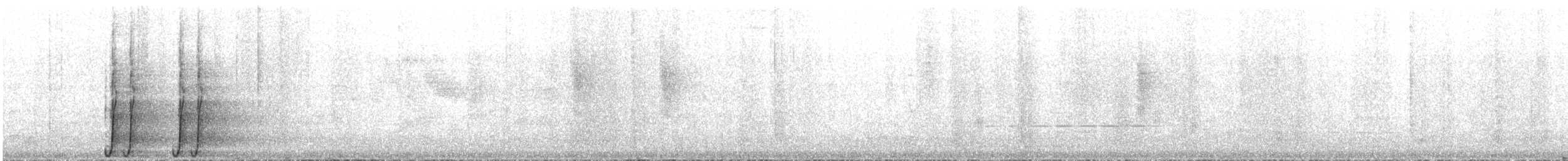 svartsigdnebb - ML42751801