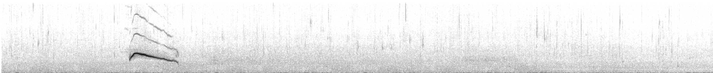 Pluvianelle magellanique - ML42753541