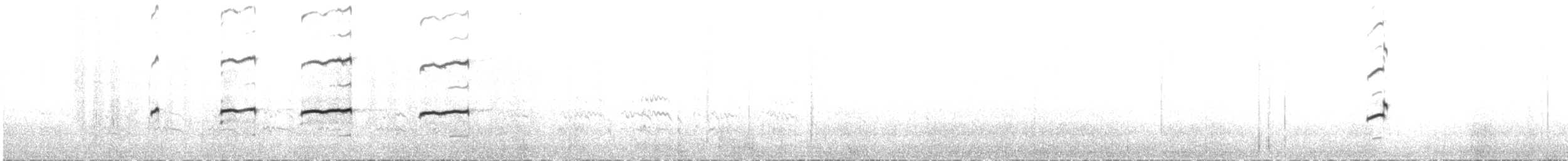 ústřičník žlutooký - ML42753651