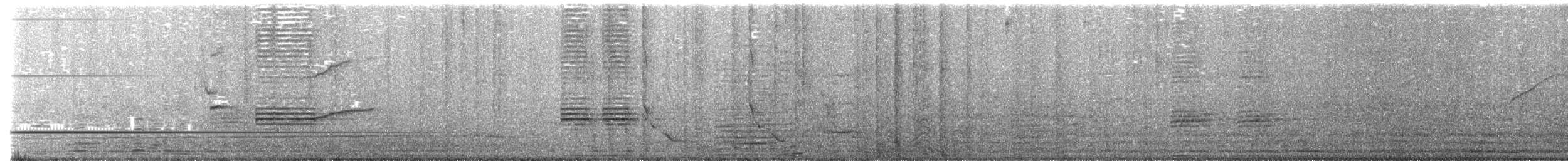 Mainate religieux - ML427608151