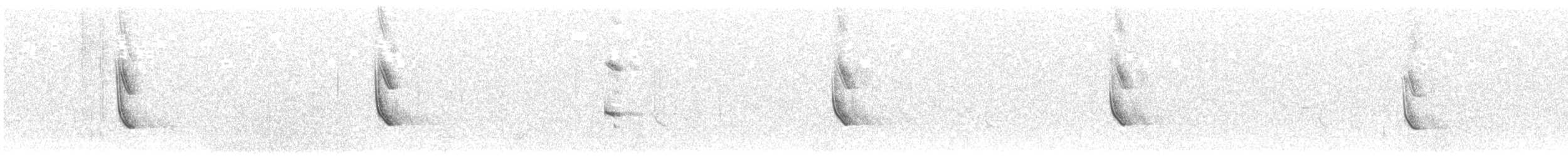 魚鷹 - ML427625221