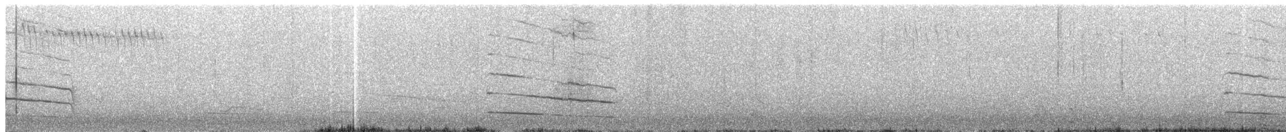 Chara de Steller (grupo coronata) - ML42763711