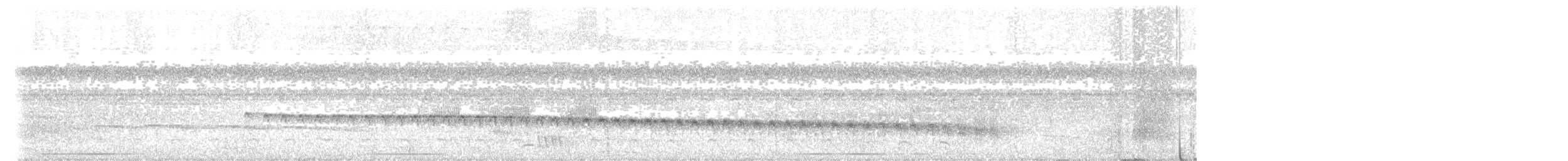 Weißstirn-Ameisenschnäpper - ML427695211