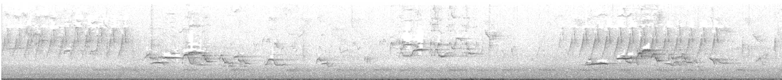 Hermit Thrush - ML427901311