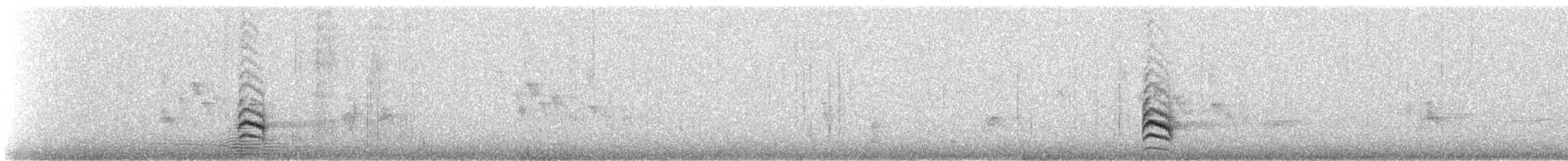 Weißbrustkleiber (aculeata/alexandrae) - ML427968471