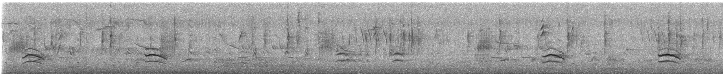 White-breasted Nuthatch - ML428018781