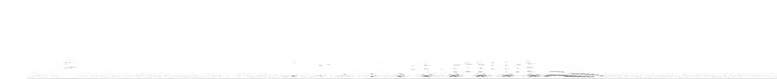 アメリカフクロウ - ML428058391