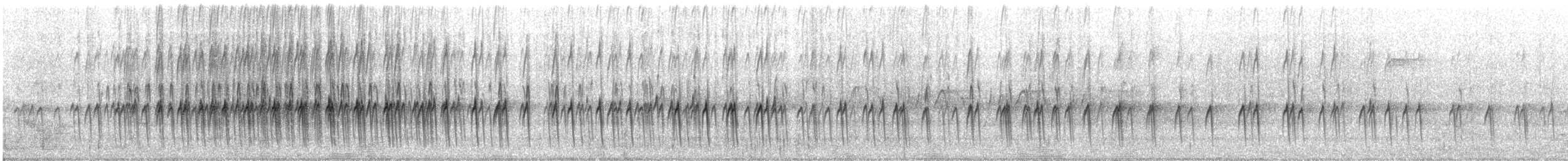 grankorsnebb (type 12) - ML428062011