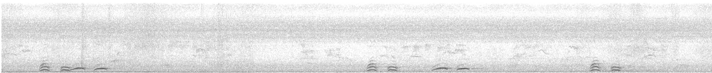 Сова-голконіг плямиста - ML42810371