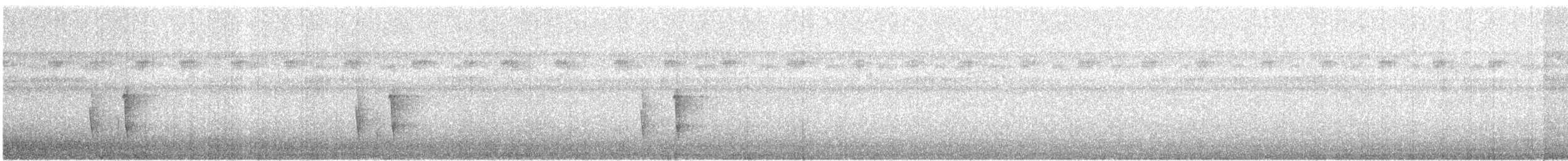 Тиран-малюк гвіанський - ML428156981
