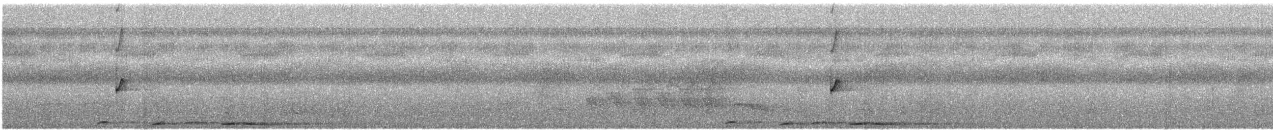 Короткохвостая аруна - ML428162121