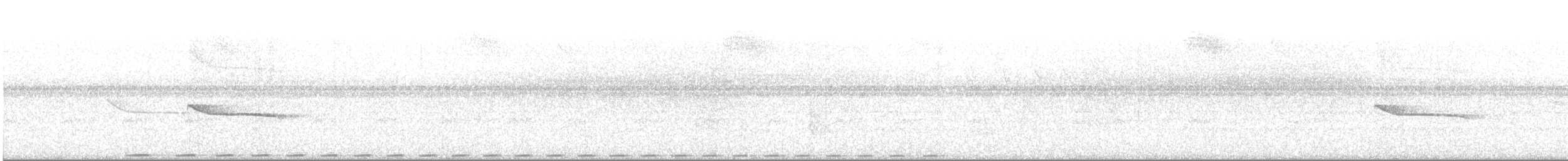White-mantled Barbet - ML428171311