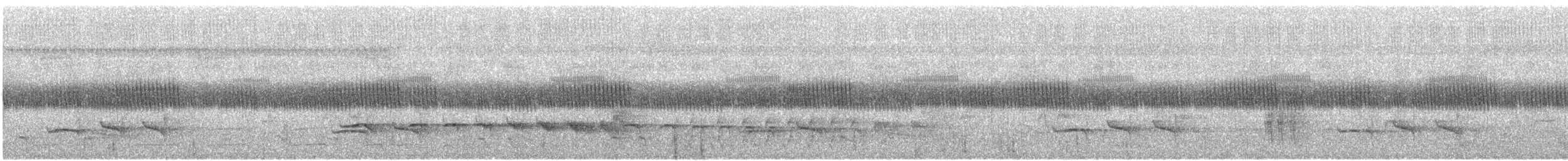 Spix Karıncaavcısı - ML428179371