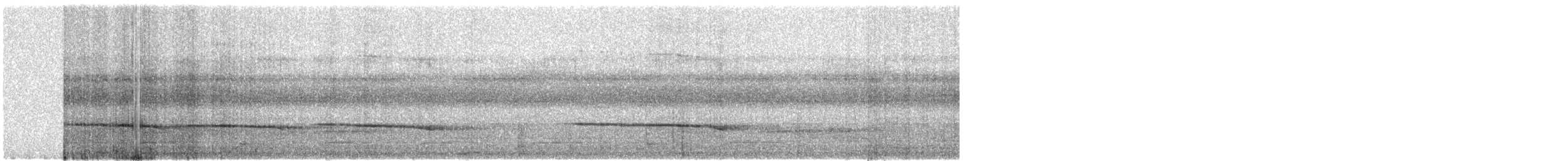 Weißstirn-Ameisenvogel - ML428196841