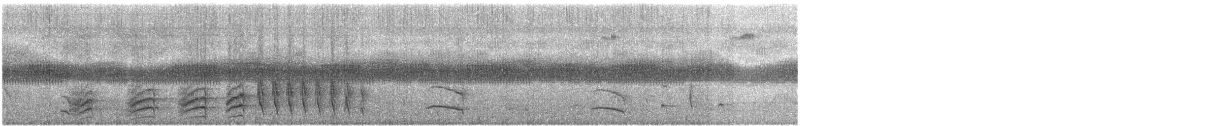Bauchflecken-Ameisenvogel - ML428196931