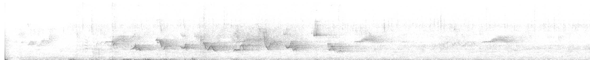Черноголовый толстонос - ML428261991
