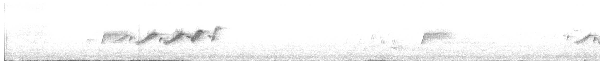 Black-throated Gray Warbler - ML428262211