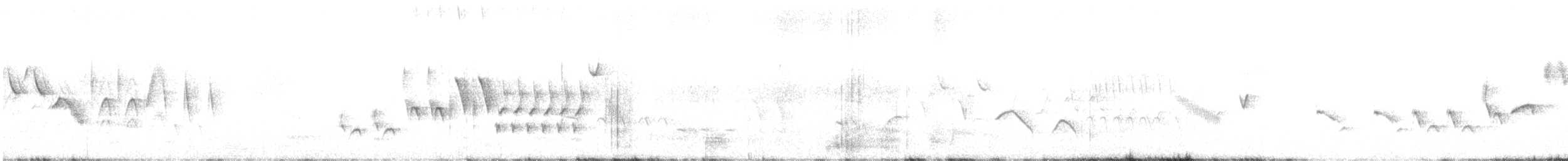 revespurv (megarhyncha gr.) (tykknebbrevespurv) - ML428262621