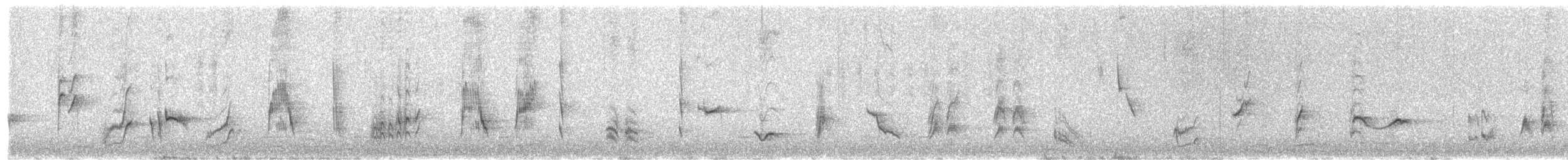 Long-billed Thrasher - ML428403811