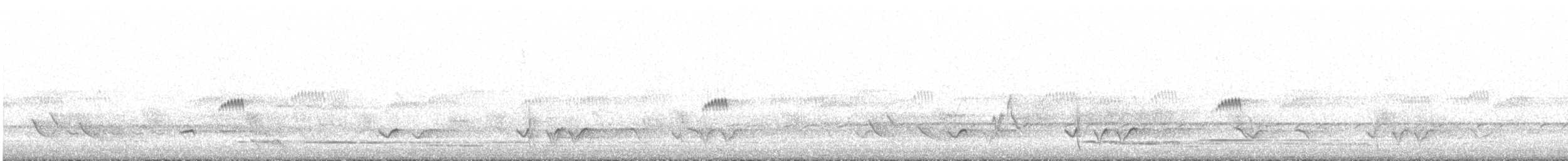 Australian Owlet-nightjar - ML428444001