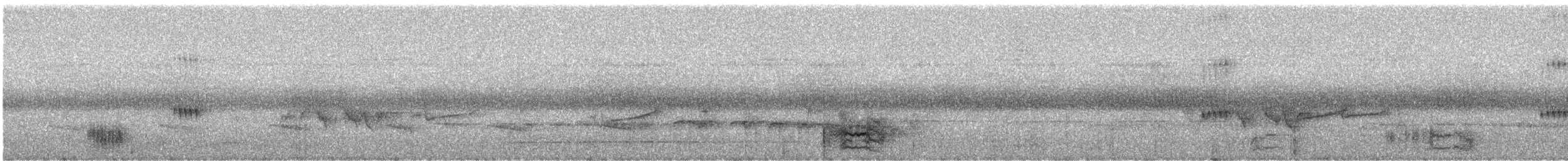 Kısa Kuyruklu Küçük Tiran - ML428451701
