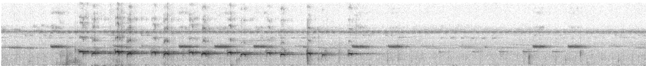 meiseltreløper (orenocensis gr.) - ML428451871