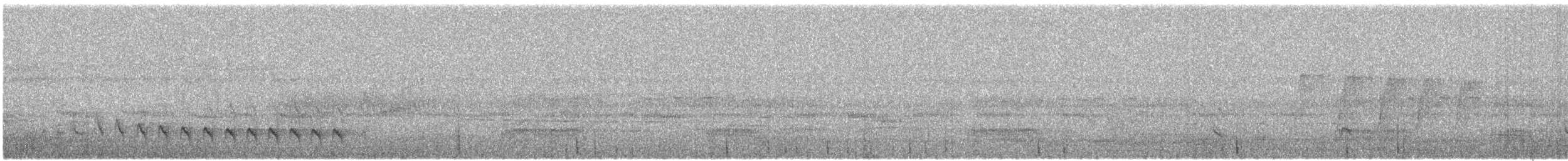 White-flanked Antwren (White-flanked) - ML428491691
