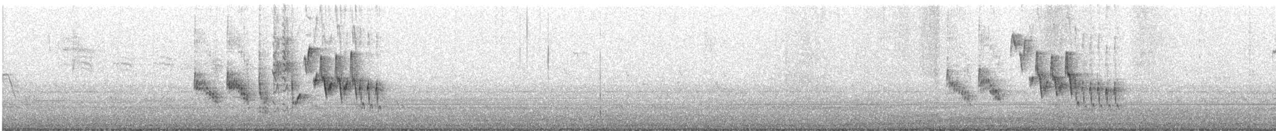 Northern House Wren - ML428562251