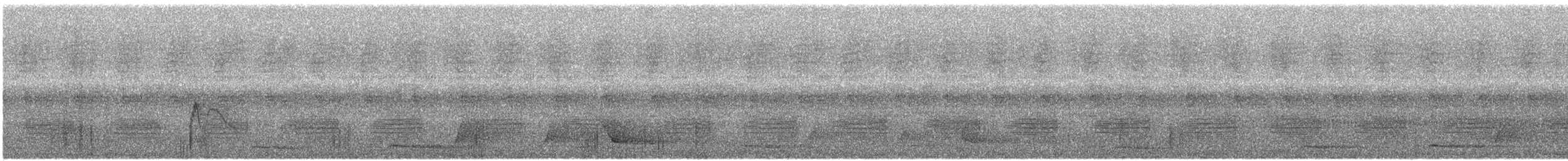 Blackish Pewee - ML428564201