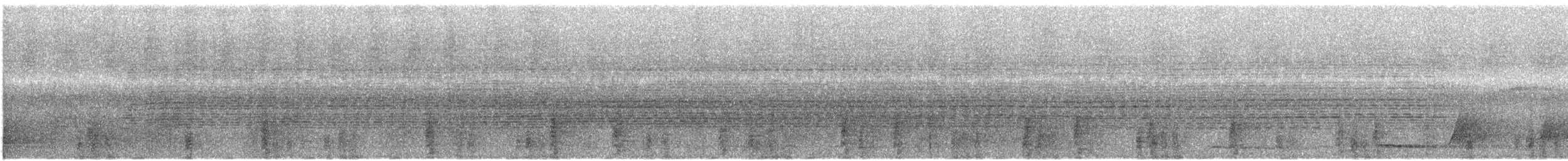 Kara Kanatlı Borazankuşu (interjecta) - ML428564361