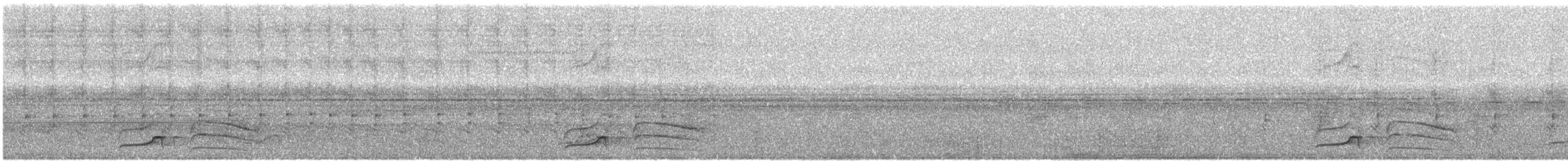 Waved Woodpecker (Waved) - ML428584781