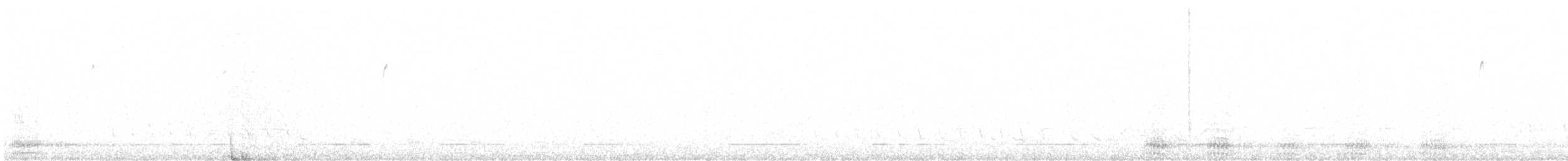 Cuervo Grande - ML428590001