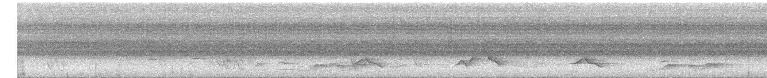 Noisy Pitta - ML428696491