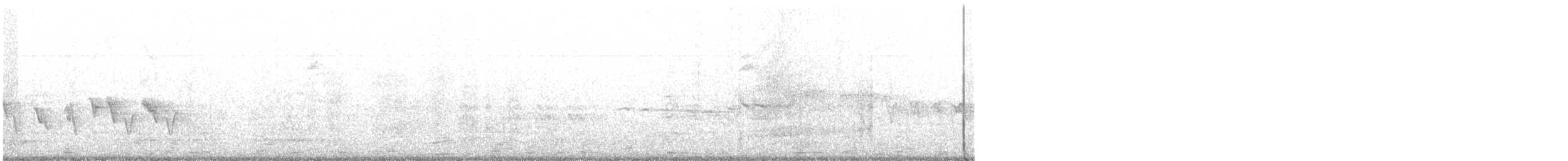 Чечевиця садова - ML428847391