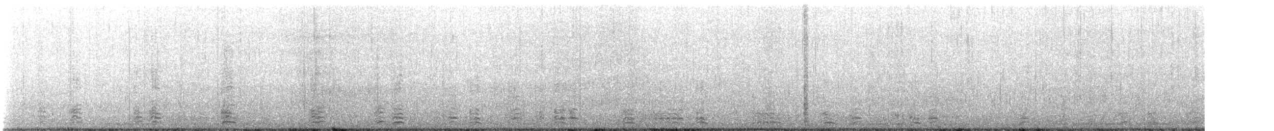 berneška tmavá (ssp. hrota) - ML428856231