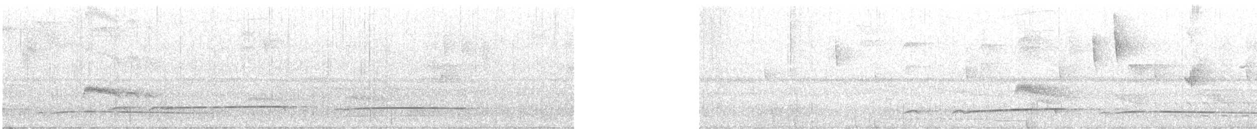 Лінивка-смугохвіст західна - ML428916001