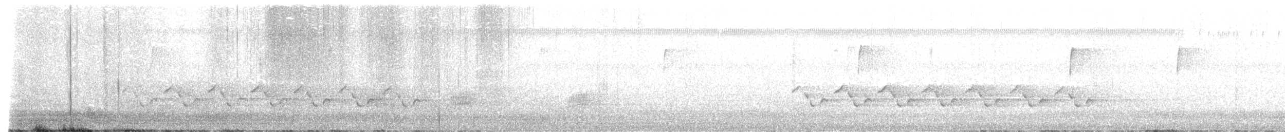Поплітник каролінський - ML428975791