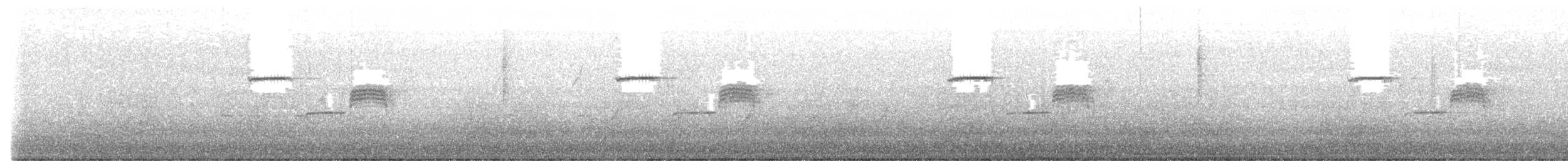 Carolina Chickadee - ML429050001