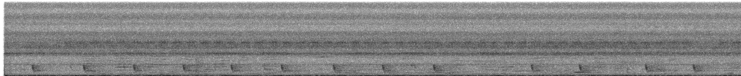 Large-tailed Nightjar - ML429126051