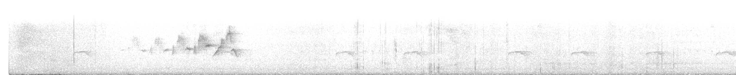 Black-throated Gray Warbler - ML429171731