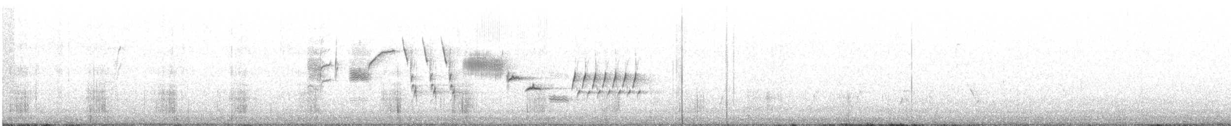 Bewick's Wren - ML429238471
