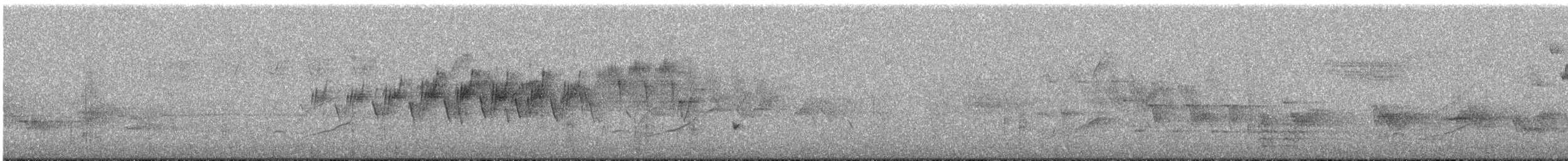 Palm Warbler - ML429452611