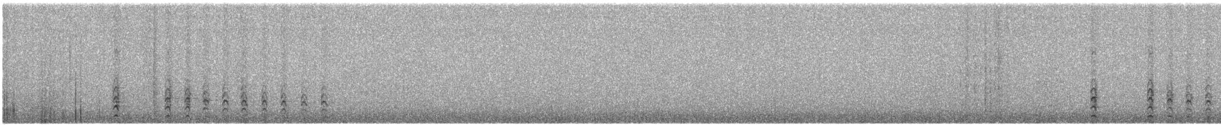 Steller's Jay - ML429466111