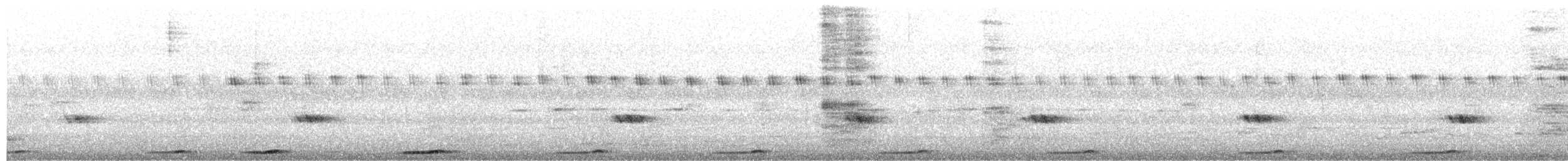 Сова-голконіг темнопера - ML429523011