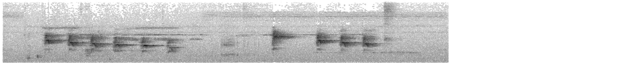 Black-tailed Leaftosser - ML429527801