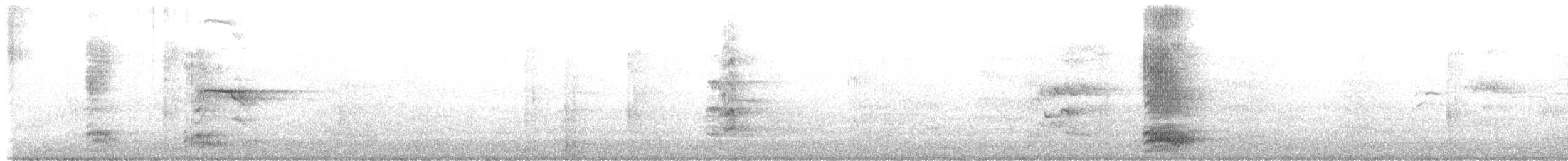 Mouette argentée (novaehollandiae/forsteri) - ML429529291