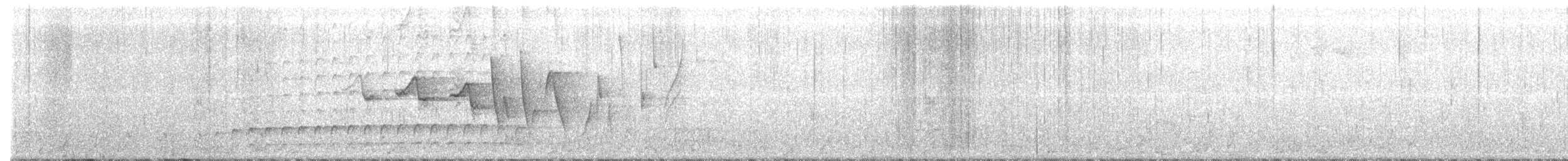 Paruline hochequeue - ML429536861